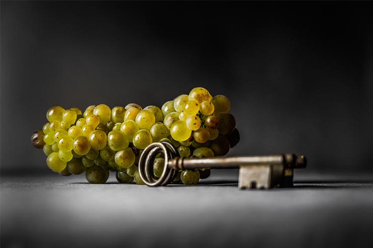tirage photo Art grappe raisin clés Chassagne-Montrachet 1er Cru Maltroie