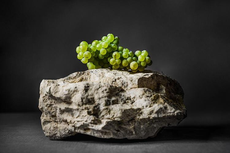 tirage photo Art raisin roches Meursault 1er Cru Perrières