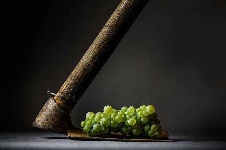 tirage photo Art raisin pioche Meursault La Barre