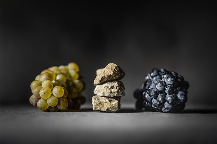 tirage photo Art grappe raisin blanc et rouge pierres Chassagne-Montrachet 1er Cru Morgeot