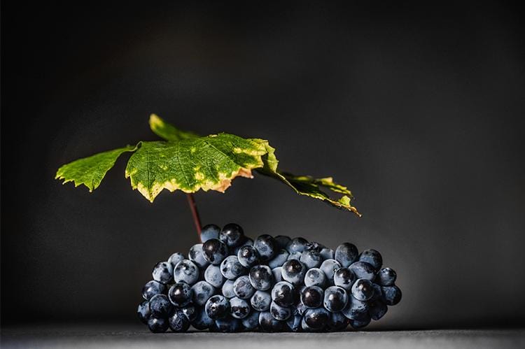 tirage photo Art raisin feuille vigne Pommard 1er Cru Rugiens